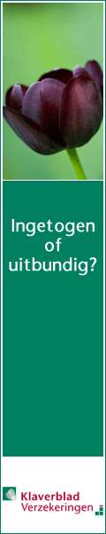 banner: 2010-08-18-Klaverblad-Skyscraper